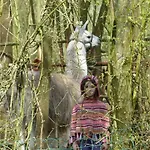 Ici Et La Canaples