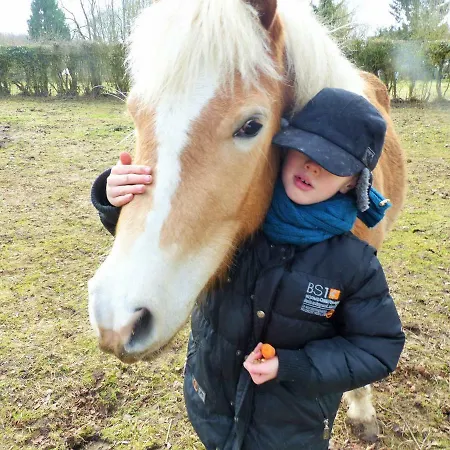 بيت للعطل Ici Et La